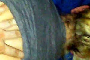 Blonde PAWG MILF's Pussy Fucked Doggy Style Hard