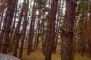 blowjob milf whore picked up from the highway gets cum on face