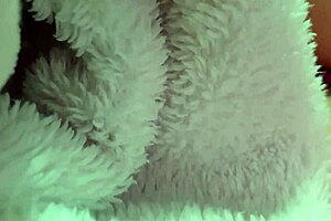 Big Ass Mature Woman Enjoys Huge Cock