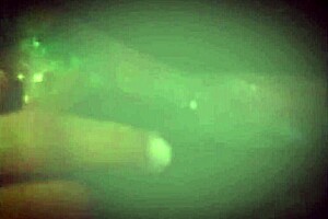 MARY BUTTERFLY IN BATH WITH FAT CHUBBY COUPLE BBW PROSTITUTE CLOSE UP