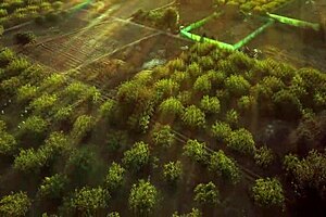 Betty loop debuts with victor bloom in suggestive moments