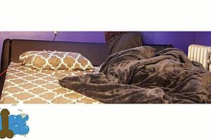 Step Sister Spends the Night with Step Brother Trailer 1