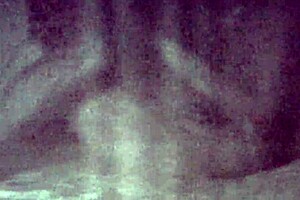 kissing and sex in intimate moment