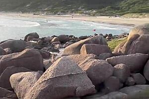 era pra ser só um boquete, mas não resisti e dei o cu na praia de nudismo