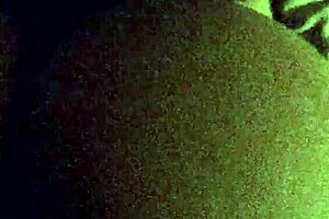 and now back to me slappin and clappin them big-booty doll cheeks