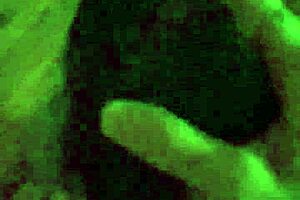 Bondaged girlfriend gives blowjob