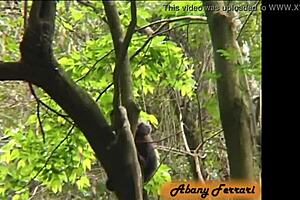 brazilian sluts showing asses in rio public