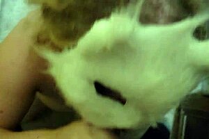 Quick Closet Encounter