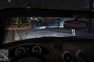 Gta 5 First Person Encounters A Hooker In The Car