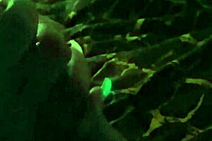 Ebony Babe Struggles to Swallow Long Cock