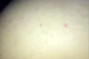 Moreliana engages in raw fucking and oral in motel room