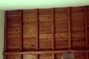 Latina Neighbor Fucks Hard After Cuckold Leaves For Work