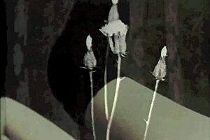 Dark Lantern Entertainment Presents Two Centuries Of Vintage Porn With Mature Milfs 😍