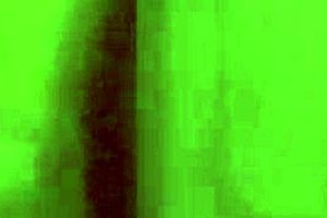 moments every fan dreams