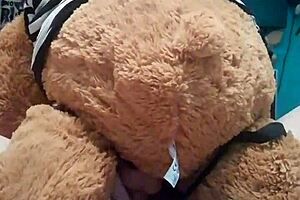 Would you like to be my teddy bear?