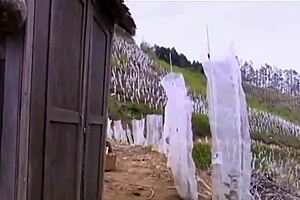 A young girl visits the man she is loyal to and has a sexual relationship with the man in the washroom
