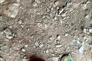 homemade compilation of cumshots and squirting