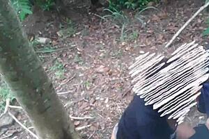 Casal Sapeca Rj Fudendo No Meio Do Mato - V�deo Completo Em Xvideos Red