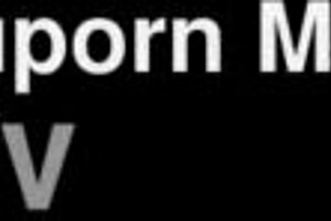 I drive a trailer taxi in Mexico