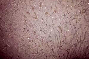 pastor tarado arrombando o cu da crente casada no banheiro da igreja