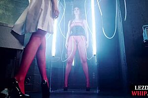 lezdom mistress dominates her new subject with scissoring and oral in bdsm