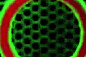 vicky vette deepthroats cock until load of jizz