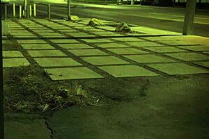 Bdsm Squirt HD and Rough Doggy Style Bondage Unless You're From The