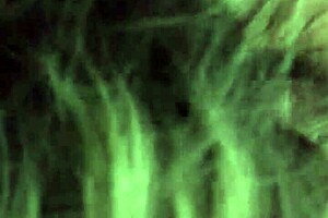 Hot blonde lover gives blowjob to big cock