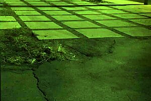 Bdsm Squirt HD and Rough Doggy Style Bondage Unless You're From The