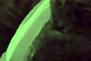 Ebony solo slut squirts wet pussy close up