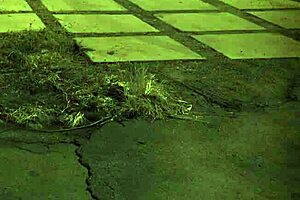 Penny Flame's Rough Sex First Time With Bondage Domination