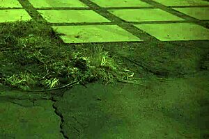 Penny Flame's Rough Sex First Time With Bondage Domination