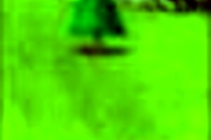 Let's play Shroomlandia with big tits and ass