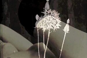 exploring vintage porn history over two centuries