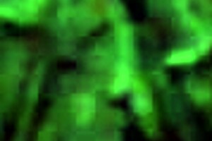 Perla Rides Hard And Moves Seductively On Cock!