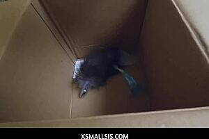 Xsmall 18+Sis - Ashley Adams Takes Stepbro In Her Ass. She moans loudly as he thrusts deep.