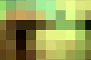 watch me flashing my panties to all my neighbors