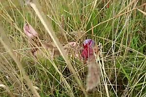 i'm tied up and bound nude in bondage anime hentai