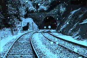 two centuries of vintage hairy pussy