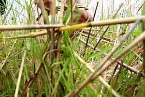 i'm tied up and bound nude in bondage anime hentai