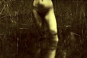 two centuries of vintage hairy pussy