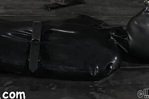 this hotty gets a neck collar and spreads her legs wide for rough bdsm fucking
