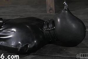this hotty gets a neck collar and spreads her legs wide for rough bdsm fucking