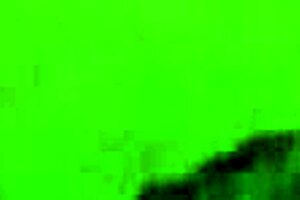 Client fucking Chinese prostitute!