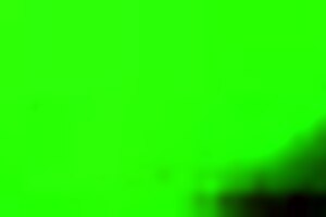 Client fucking Chinese prostitute!