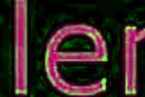 Exploring The World Of Succulentus