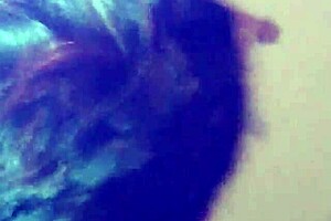 Trimmed video file with unique identifier.