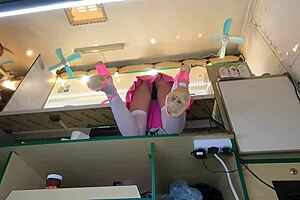 crazy girl upskirted at work for cash