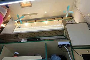 crazy girl upskirted at work for cash