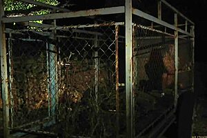 Free blonde slavegirls from cage for kinky pleasure